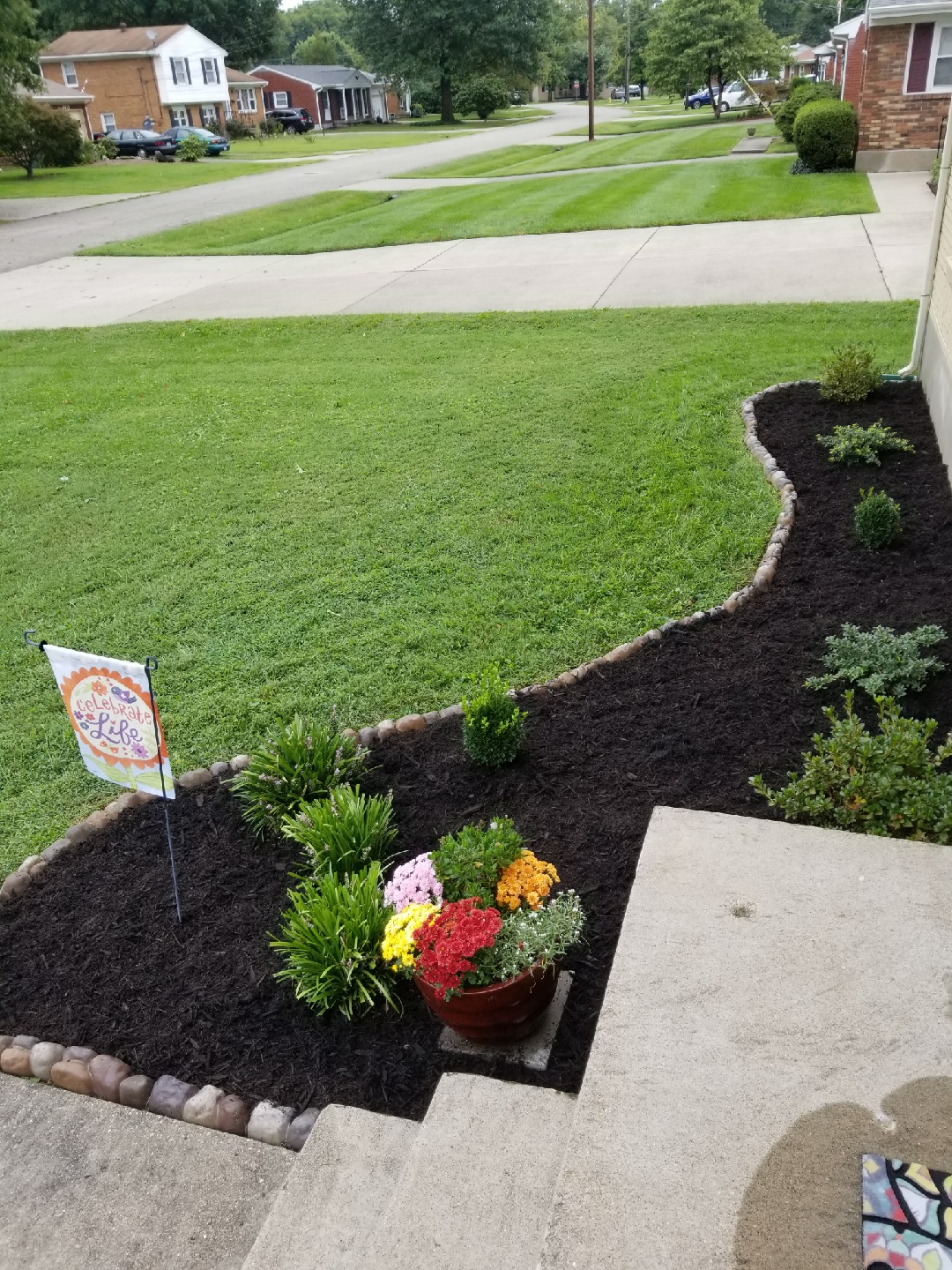 An edged flower bed