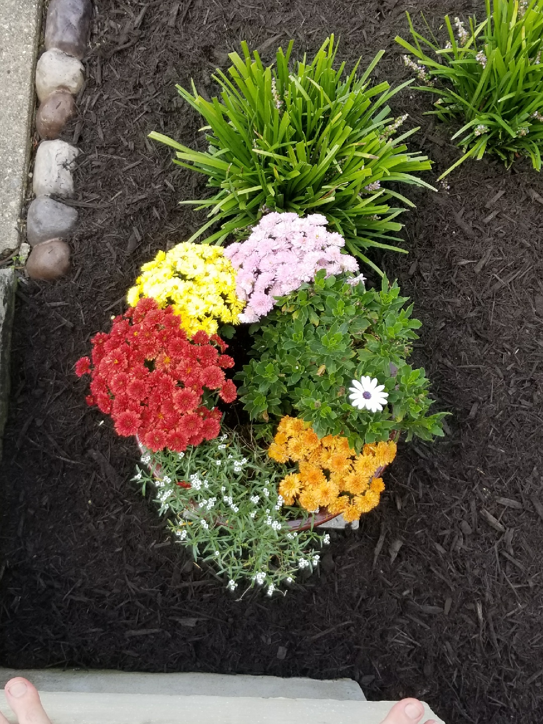 An arrangement of flowers in a heart-shape