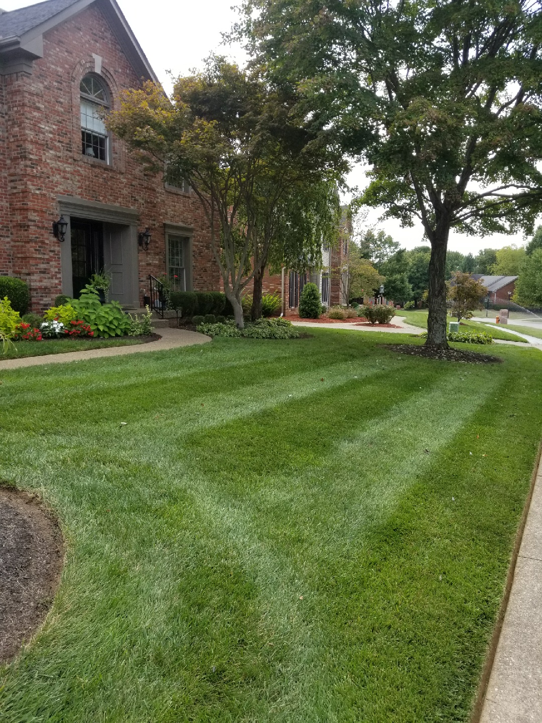 A well maintained lawn
