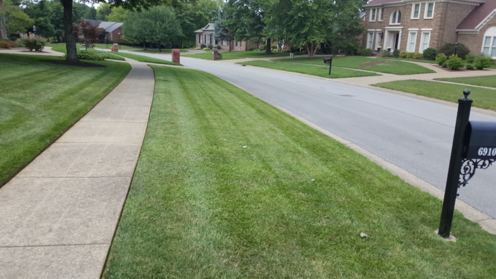 A recently mowed easement of a property that is well-trimmed